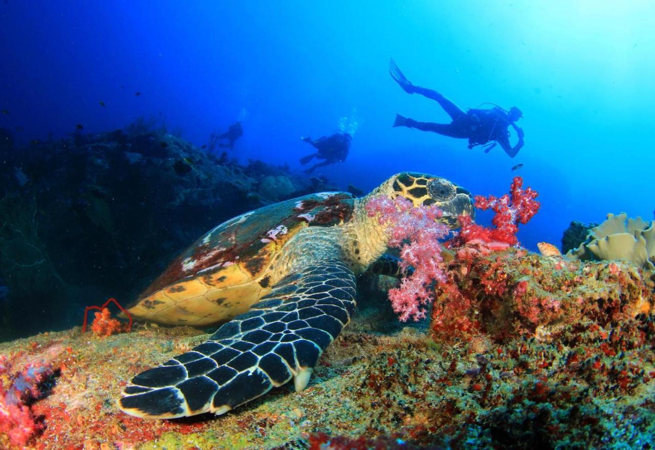 Ayana Komodo Waecicu Beach Labuan Bajo Eksteriør bilde